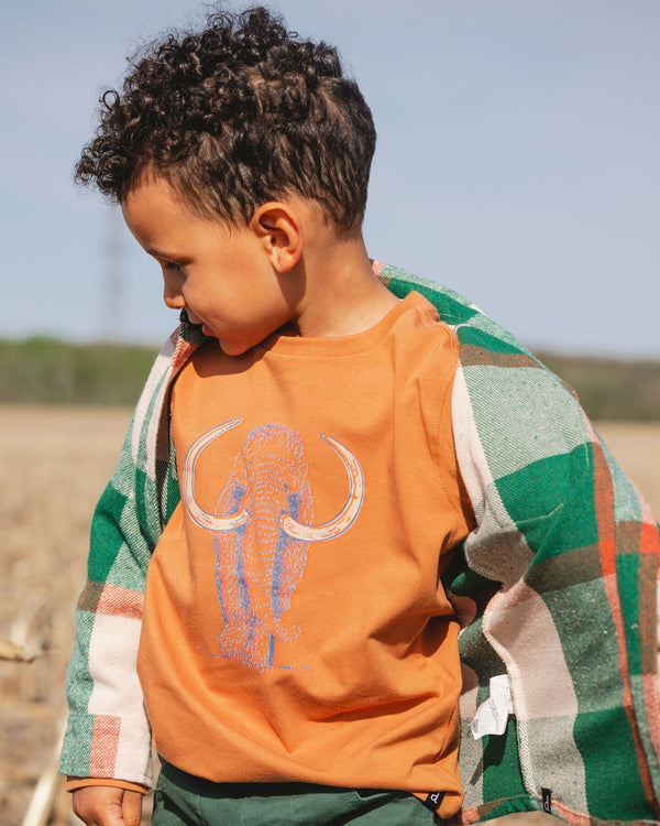 Organic Cotton Long Sleeve T-Shirt Cashew Brown - H20S65_931