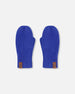 Ribbed Knit Mittens Royal Blue - H30WT26_04690