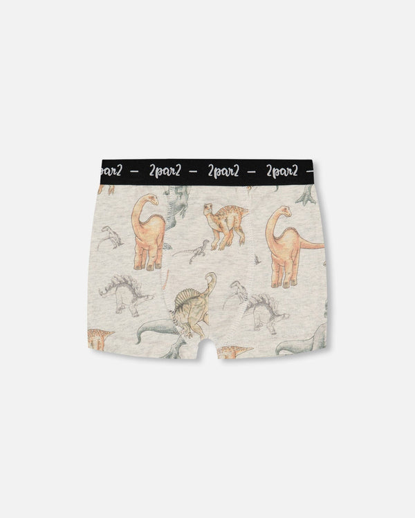 Printed Organic Cotton Boxer Shorts Dinosaur On Mottled And Tan Background - G30PB60_046