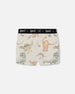 Printed Organic Cotton Boxer Shorts Dinosaur On Mottled And Tan Background - G30PB60_046