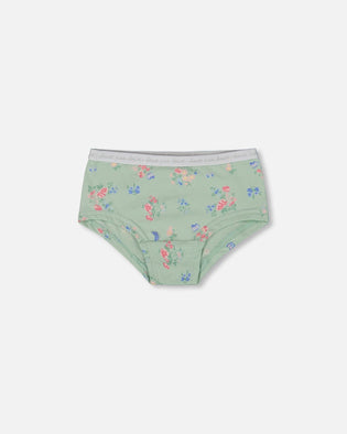 Printed Organic Cotton Boyshort Panty Small Pink And Blue Flowers On Light Sage - G30PG60_029